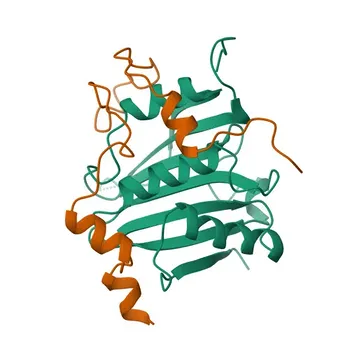 Anti-GIGYF2 Rabbit Polyclonal Antibody for WB, ELISA - Q6Y7W6
