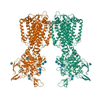 Anti-NPC1L1 (Niemann-Pick type C1 Like-1) Rabbit Polyclonal Antibody for WB, ELISA - Q9UHC9