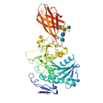 Anti-PNLIPRP2 Polyclonal Antibody for WB, IF-P, ELISA - P54317