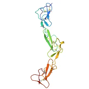 Anticorpo policlonale di coniglio anti-EMR2 per WB ed ELISA - Q9UHX3