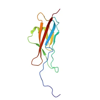 Anti-PCDH9 Polyclonal Antibody for WB, ELISA - Q9HC56