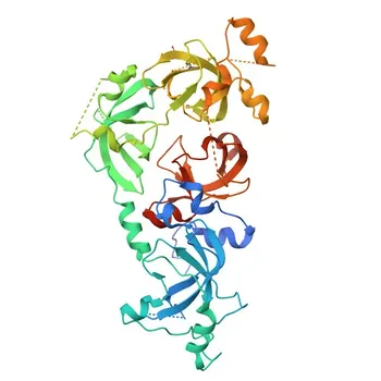 Anticorpo policlonale anti-L3MBTL2 per WB, ELISA - Q969R5