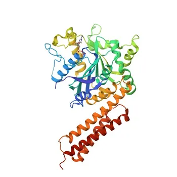 Anti-ATL3 Rabbit Polyclonal Antibody for WB, IF/ICC, ELISA - Q6DD88