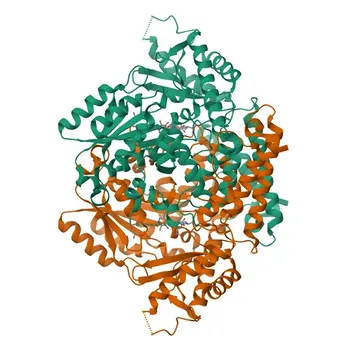 Anticorpo Policlonal de Coelho Anti-GAD65/GAD2 para WB, IF-P, ELISA - Q05329