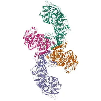 Anti-UBR5 Rabbit Polyclonal Antibody for WB and ELISA - O95071