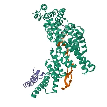Anticorpo Policlonais Anti-IFIT3 para WB, ELISA - O14879