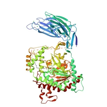 Anti-PLA2G4D/cPLA2delta Polyclonal Antibody for IF/ICC, ELISA - Q86XP0