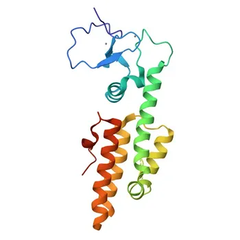 Anticorpo policlonale Anti-KMT2A (Validato KO) per WB ed ELISA - Q03164