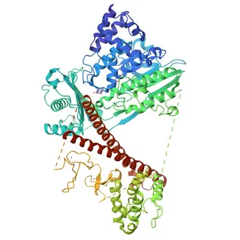 MICAL1 Rabbit Polyclonal Antibody for WB, ELISA - Q8TDZ2