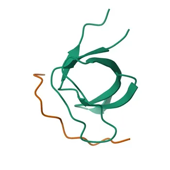 Anti-ARAP1 Polyclonal Antibody for WB, IF/ICC, ELISA - Q96P48