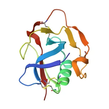 Anti-CD163L1 Rabbit Polyclonal Antibody for WB, ELISA - Q9NR16