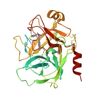 Anti-KLK6 Rabbit Polyclonal Antibody for WB, ELISA - Q92876