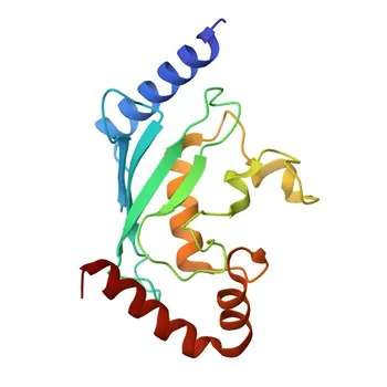 Anticorpo policlonale anti-UBE2G2 per WB, IF/ICC, ELISA - P60604