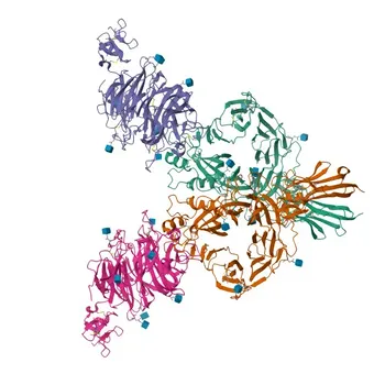 Anticorpo Policlonale Anti-SEMA7A per WB, ELISA - O75326