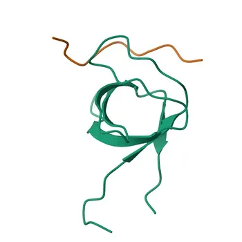 Anticorpo policlonale anti-EPS8 per WB, ELISA - Q12929