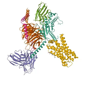 Anticorpo policlonale anti-recettore H4 dell'istamina (HRH4) per WB ed ELISA - Q9H3N8