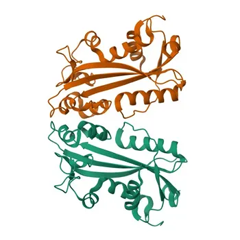 Anticorpo Policlonal Anti-ITPA para WB, ELISA - Q9BY32