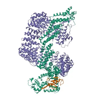 Anticorpo Policlonale Anti-CAND1 per WB, IHC-P, ELISA - Q86VP6