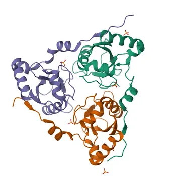 Anticorpo policlonale di coniglio Anti-RTN3 per WB e ELISA - O95197