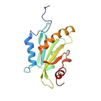 Anti-DBNL Polyclonal Antibody for WB, ELISA - Q9UJU6