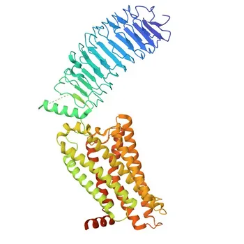 Anti-FSHR Rabbit Polyclonal Antibody for WB, IF-P, ELISA - P23945