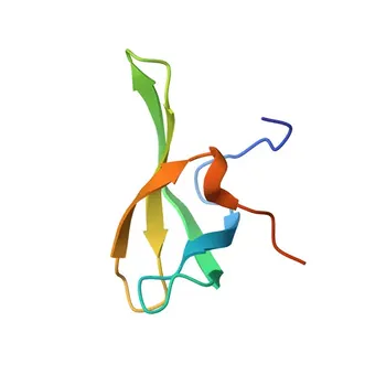 Anti-ERCC6L2 Rabbit Polyclonal Antibody for WB and ELISA - Q5T890