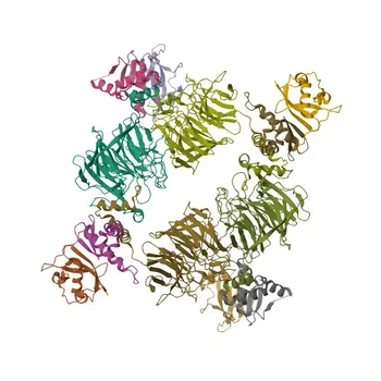 Anti-KLHDC2 Polyclonal Antibody for WB, IHC-P, ELISA - Q9Y2U9