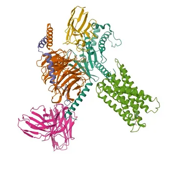 Anti-MRGPRX1 Rabbit Polyclonal Antibody for WB and ELISA - Q96LB2