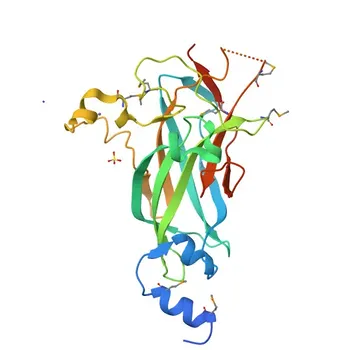 EBF1 pAb de coelho para WB, ELISA - Q9UH73