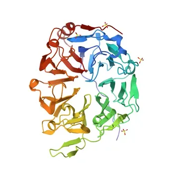 Anticorpo policlonale di coniglio anti-RCC2 per WB, ELISA - Q9P258