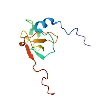 Anti-FYB Polyclonal Antibody for WB, ELISA - O15117