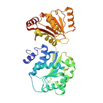 Anticorpo policlonale di coniglio anti-DDX21 per WB, IHC-P, IF/ICC, ELISA - Q9NR30