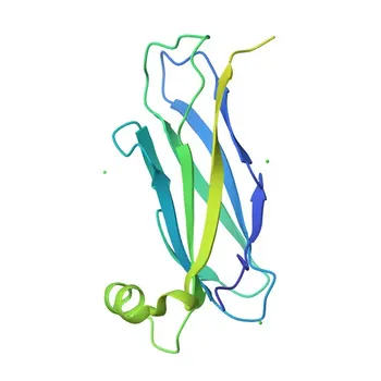 Anticorpo policlonale anti-VAPA per WB, IHC-P, ELISA - Q9P0L0