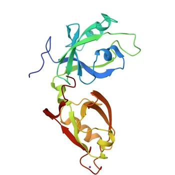 GORASP2 Anticorpo pAb di coniglio per WB, IF/ICC, ELISA - Q9H8Y8