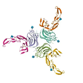 Anti-GITR/TNFRSF18 Rabbit Polyclonal Antibody for WB, ELISA - Q9Y5U5