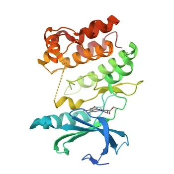 Anti-WNK3 Rabbit Polyclonal Antibody for WB, IF/ICC, ELISA - Q9BYP7