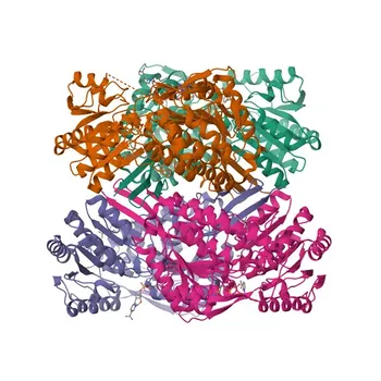 Anti-ALDH1A3 Polyclonal Antibody for WB and ELISA - P47895