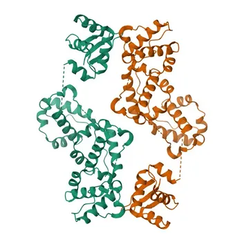 Anti-ETV6 Rabbit Polyclonal Antibody for WB, ELISA - P41212