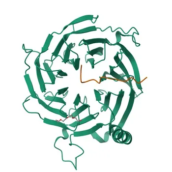 Anti-RBBP4 Polyclonal Antibody for WB, ELISA, ChIP - Q09028