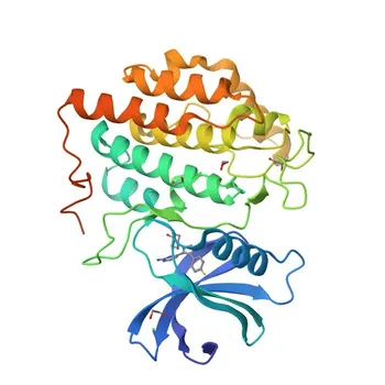 Anti-CSNK1G3 Polyclonal Antibody for WB, ELISA - Q9Y6M4