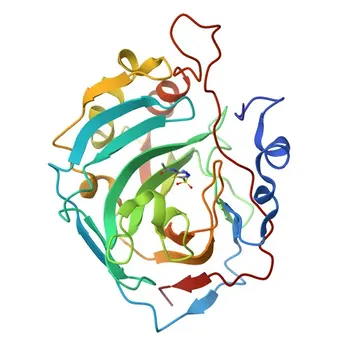 Anticorpo policlonale Anti-CA13 per WB, IHC-P, ELISA - Q8N1Q1