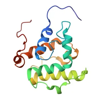 Anticorpo policlonale anti-VAV3 per WB, IF/ICC, ELISA - Q9UKW4