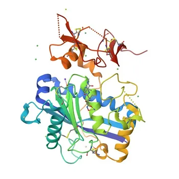 Anticorpo Policlonale Anti-ADAMTS1 per WB, IF/ICC, ELISA - Q9UHI8