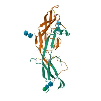 Anticorpo policlonale anti-FSHB per WB, ELISA - P01225
