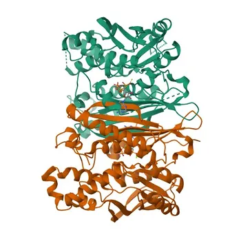 [KO Validated] Anti-SEPHS1 Rabbit Polyclonal Antibody - P49903