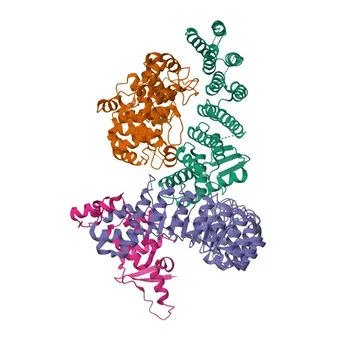 Anti-FBXL2 Rabbit Polyclonal Antibody for WB and ELISA - Q9UKC9