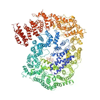 Anticorpo policlonale anti-PSME4 per WB, IHC-P, ELISA - Q14997