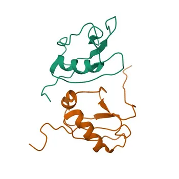 Anticorpo policlonale anti-DFFB per WB, IHC-P, ELISA - O76075