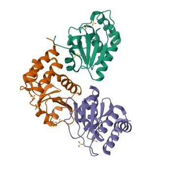 Anti-DUSP5 Rabbit Polyclonal Antibody for WB and ELISA - Q16690