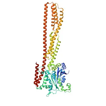 Anticorpo Policlonale Anti-GBP2 per WB, IF/ICC, ELISA - P32456